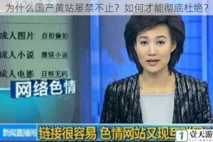 为什么国产黄站屡禁不止？如何才能彻底杜绝？