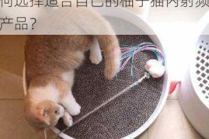 柚子猫内射频的原理是什么？如何选择适合自己的柚子猫内射频产品？