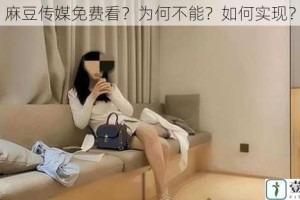 麻豆传媒免费看？为何不能？如何实现？