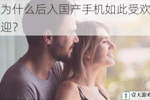 为什么后入国产手机如此受欢迎？