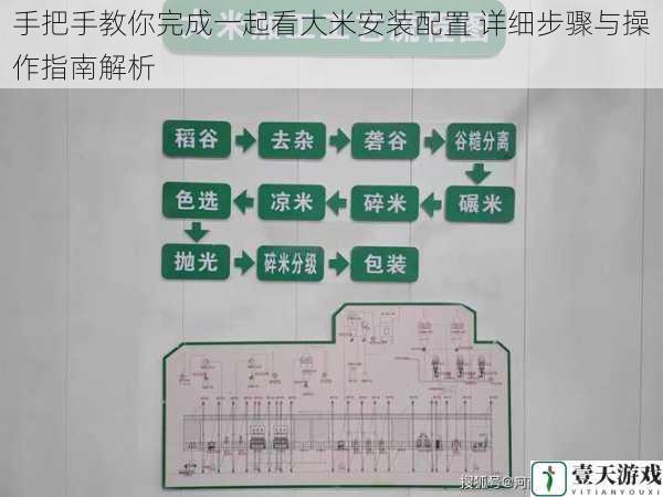 手把手教你完成一起看大米安装配置 详细步骤与操作指南解析