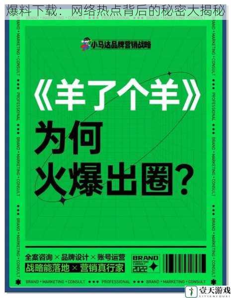 爆料下载：网络热点背后的秘密大揭秘