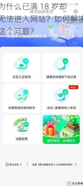 为什么已满 18 岁却无法进入网站？如何解决这个问题？